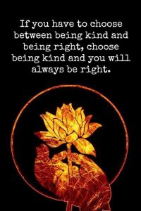 If you have to choose between being kind and being right, choose being kind and you will always be right.
